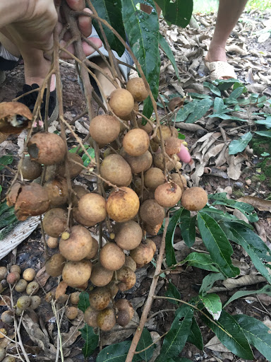 Top 13 cửa hàng kim giáp Huyện Trà Ôn Vĩnh Long 2022