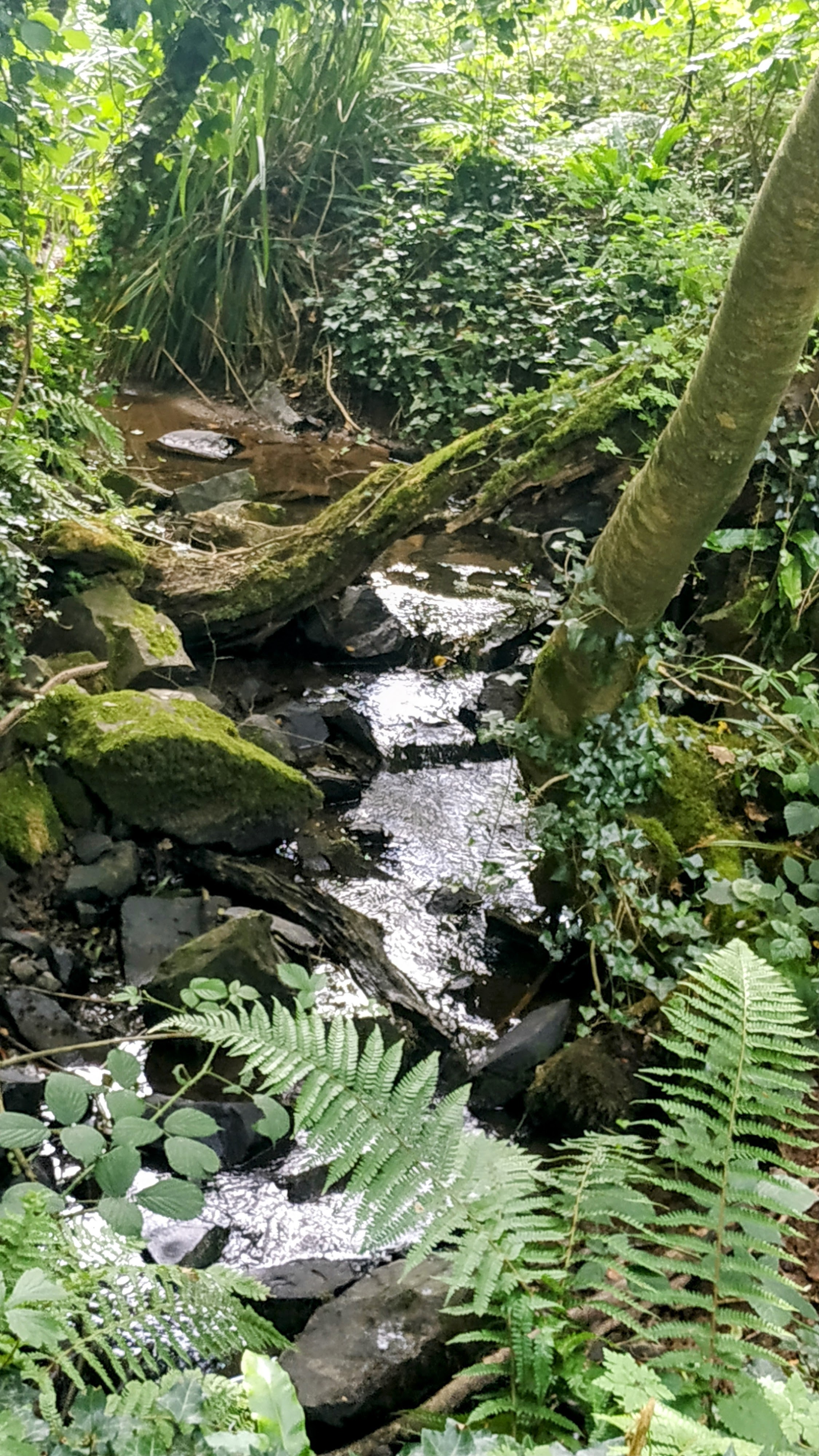 Photo n° 34 de l'avis de The.a fait le 19/07/2023 à 19:19