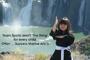 Success Martial Arts ( Twin Falls ) image