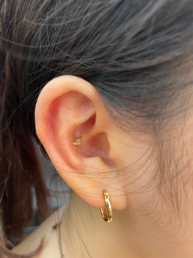 Tattoo Shop «713 Tattoo Parlour», reviews and photos, 1533 Westheimer Rd, Houston, TX 77006, USA