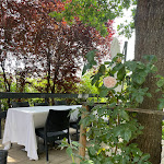 Photo n°15 de l'avis de Ivano.i fait le 30/05/2023 à 04:18 sur le  L'Umarell Ristorante à San Lazzaro