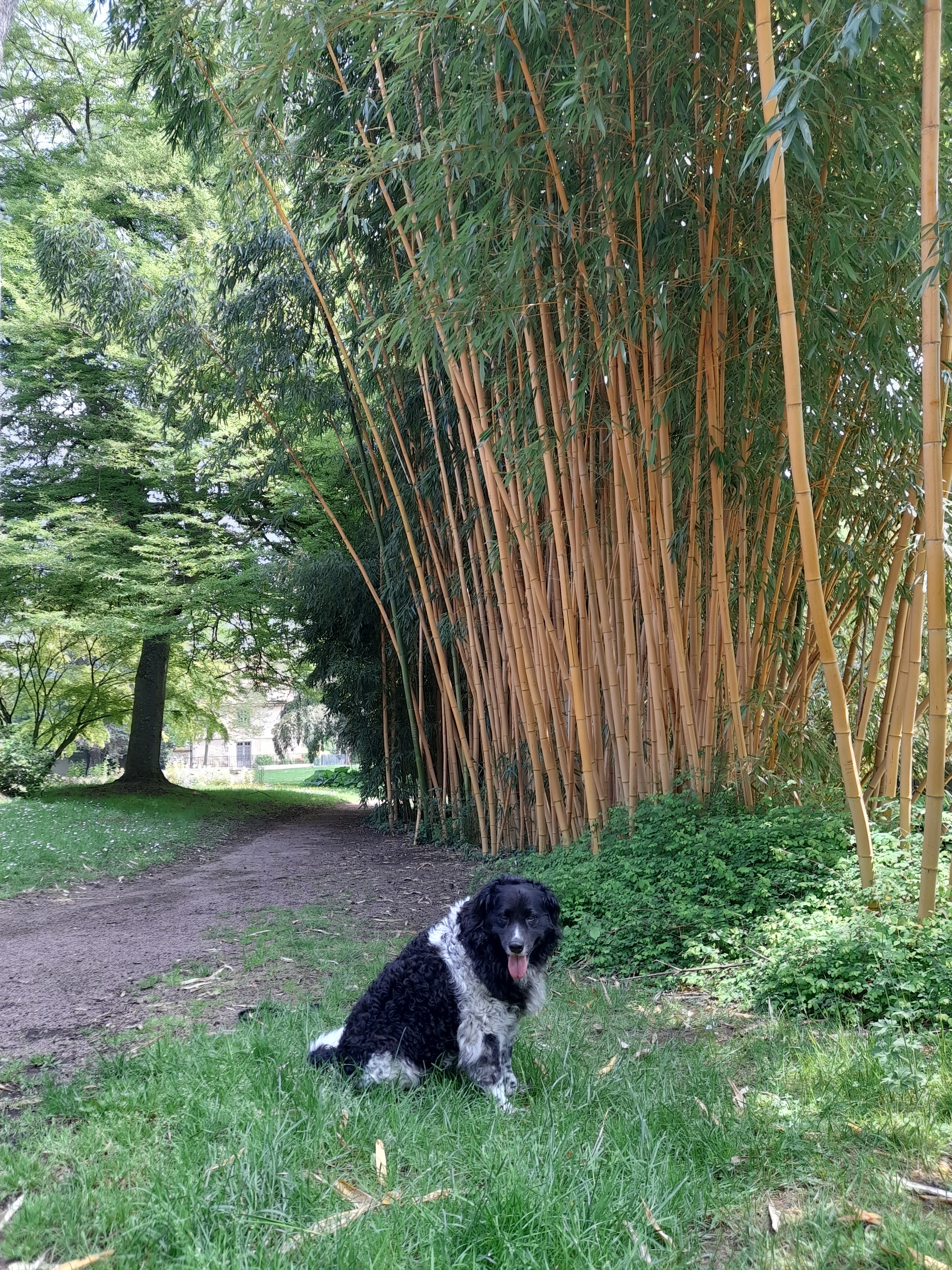 Photo n° 3 de l'avis de Coco.a fait le 14/05/2023 à 18:05