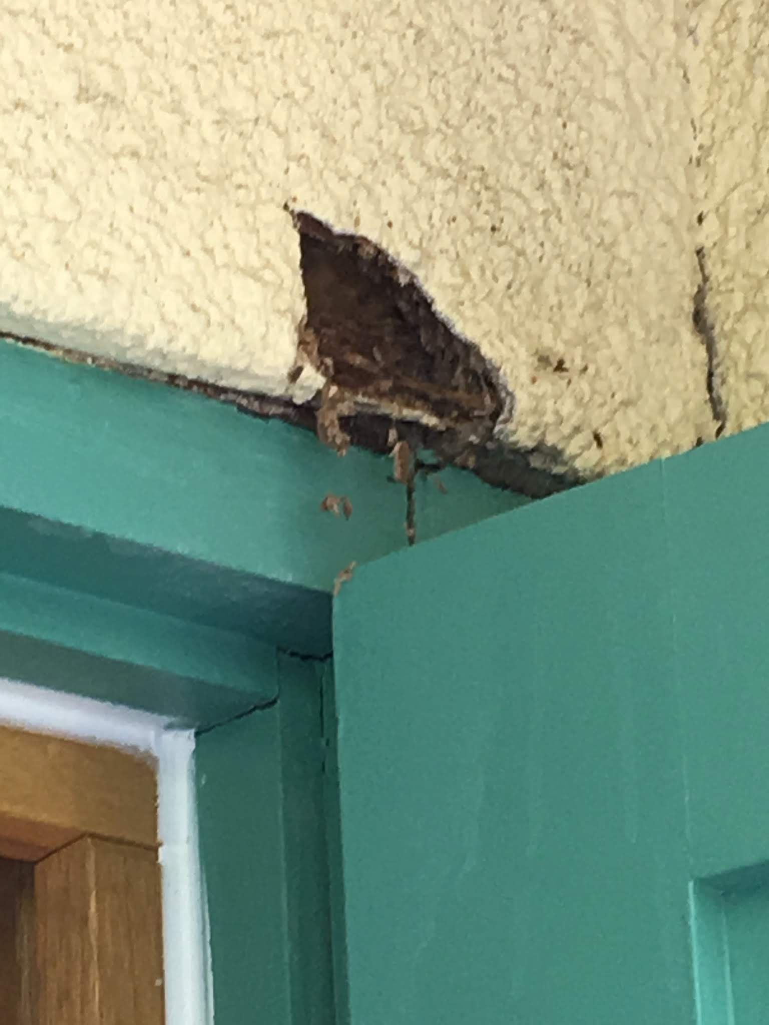 Photo n° 19 de l'avis de Claude.m fait le 30/07/2019 à 14:44