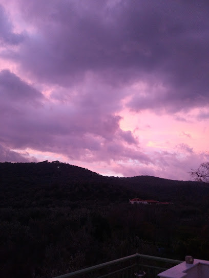 Βιομηχανία καλλυντικών