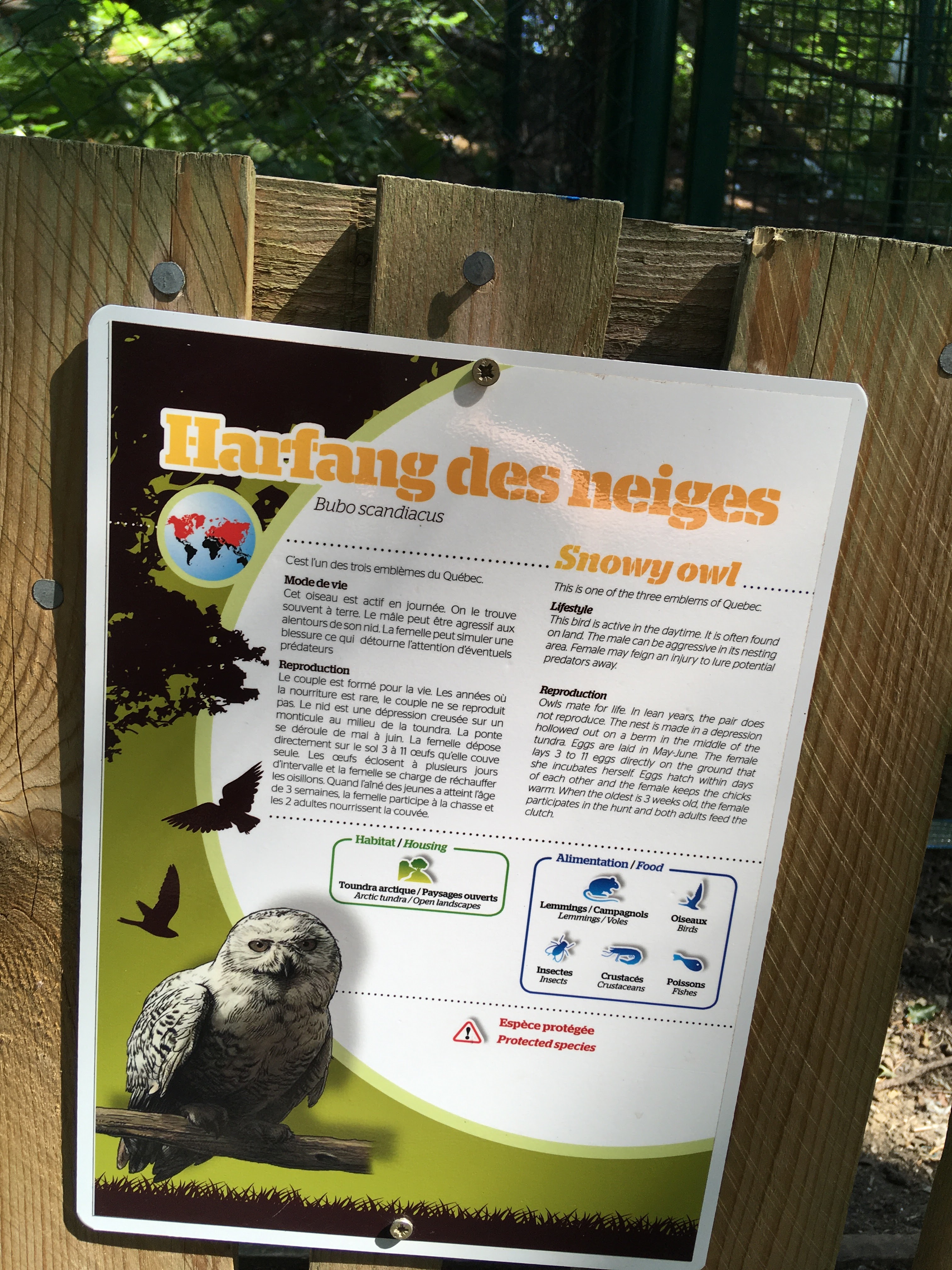 Photo n° 2 de l'avis de Kad.o fait le 12/07/2020 à 13:08