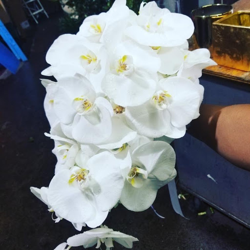 Florist «Blossom Heath Gardens», reviews and photos, 3025 Long Beach Rd, Oceanside, NY 11572, USA