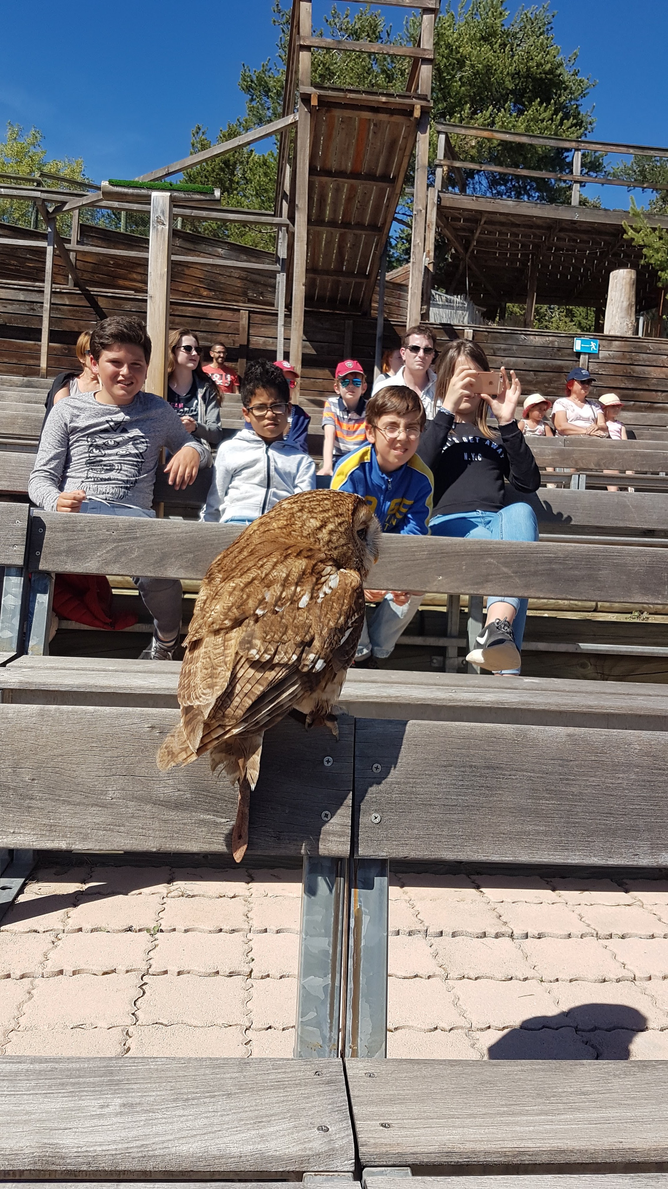 Photo n° 10 de l'avis de Maxence.o fait le 10/05/2018 à 07:26