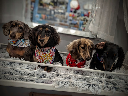 Precious Paws Boutique