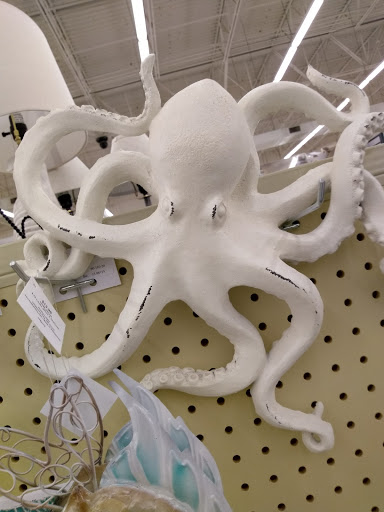 Craft Store «Hobby Lobby», reviews and photos, 255 Lakeshore Pkwy, Homewood, AL 35209, USA