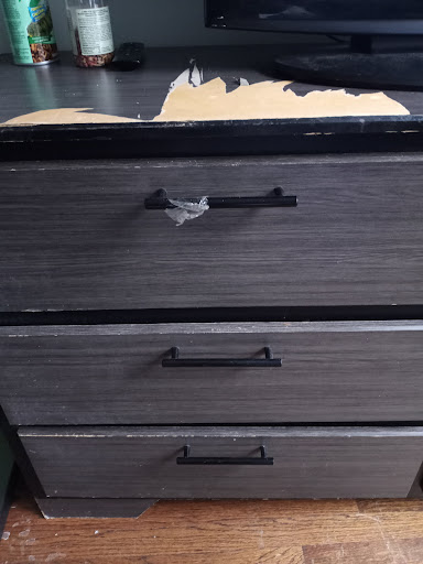 4545 W Homer St, Chicago, IL 60639, USA