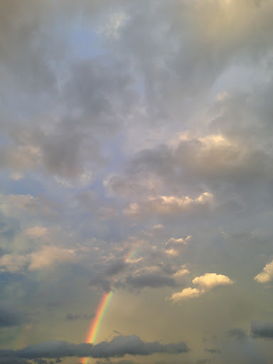 Shopping Mall «Fair City Mall», reviews and photos, 9650 Main Street, Fairfax, VA 22031, USA