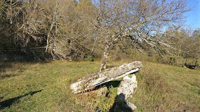 Dolmen dit Pierre Levée à Issendolus