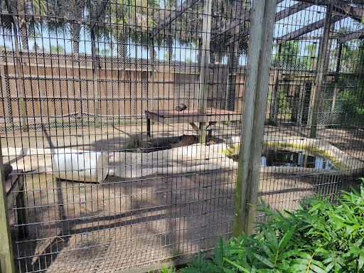 Zoo «ZooWorld Zoological and Botanical Conservatory», reviews and photos, 9008 Front Beach Rd, Panama City Beach, FL 32407, USA