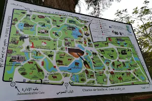 Cairo Zoo image