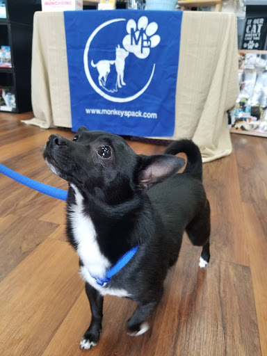 Pet Store «Pet Valu», reviews and photos, 378 Kelly Rd, Vernon, CT 06066, USA