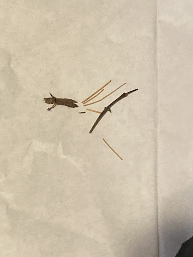 Dry Cleaner «Premier Cleaners», reviews and photos, 12121 Shelbyville Rd # 105, Louisville, KY 40243, USA