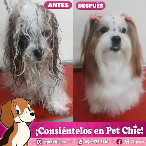 Opiniones de Peluqueria Canina PET CHIC Gómez Rendón en Guayaquil - Peluquería