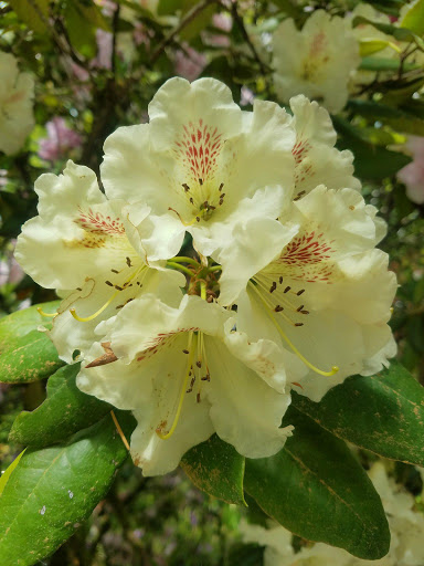 Funeral Home «Mountain View Funeral Home & Memorial Park», reviews and photos, 4100 Steilacoom Blvd SW, Lakewood, WA 98499, USA