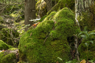 Bruce Peninsula Tourism