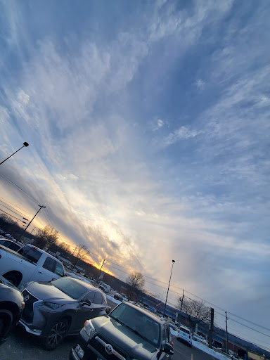 Pet Store «All Pets Club», reviews and photos, 405 Queen St, Southington, CT 06489, USA