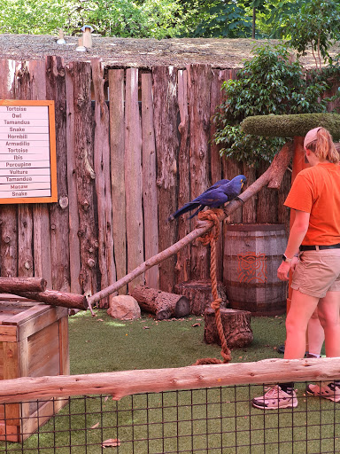 Zoo «Dallas Zoological Society», reviews and photos, 650 S R L Thornton Fwy, Dallas, TX 75203, USA