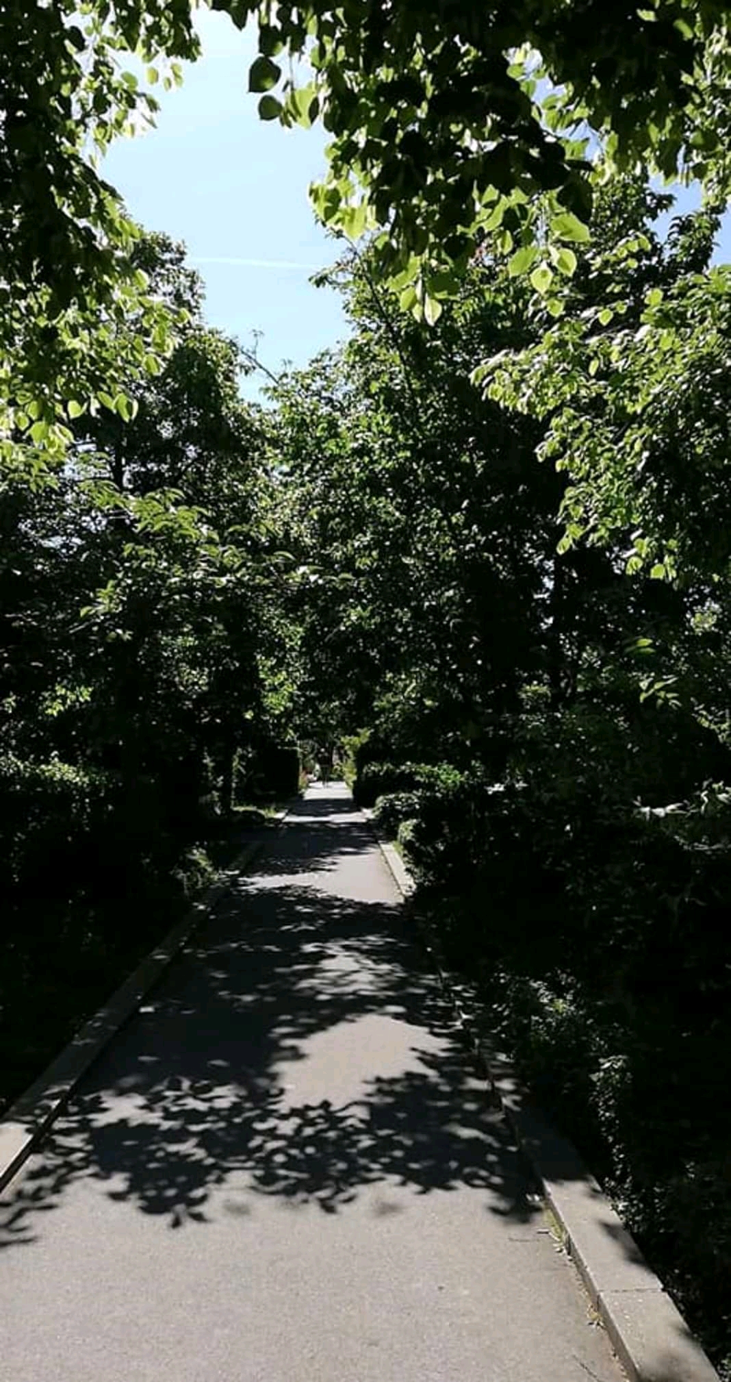 Photo n° 5 de l'avis de Thierry.a fait le 16/05/2019 à 14:22