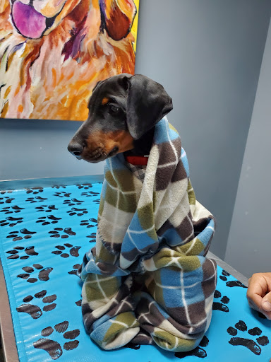 7273 Hanover Green Dr, Mechanicsville, VA 23111, USA