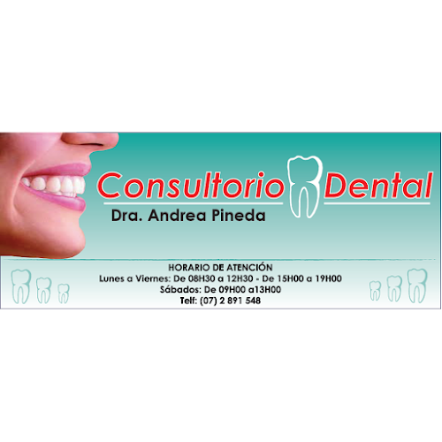 Opiniones de Consultorio Dental Dra. Andrea Pineda en Cuenca - Dentista