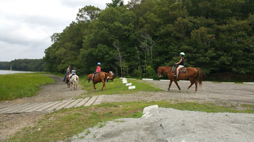 Golf Course «Goddard State Park Golf Course», reviews and photos, 1095 Ives Rd, East Greenwich, RI 02818, USA