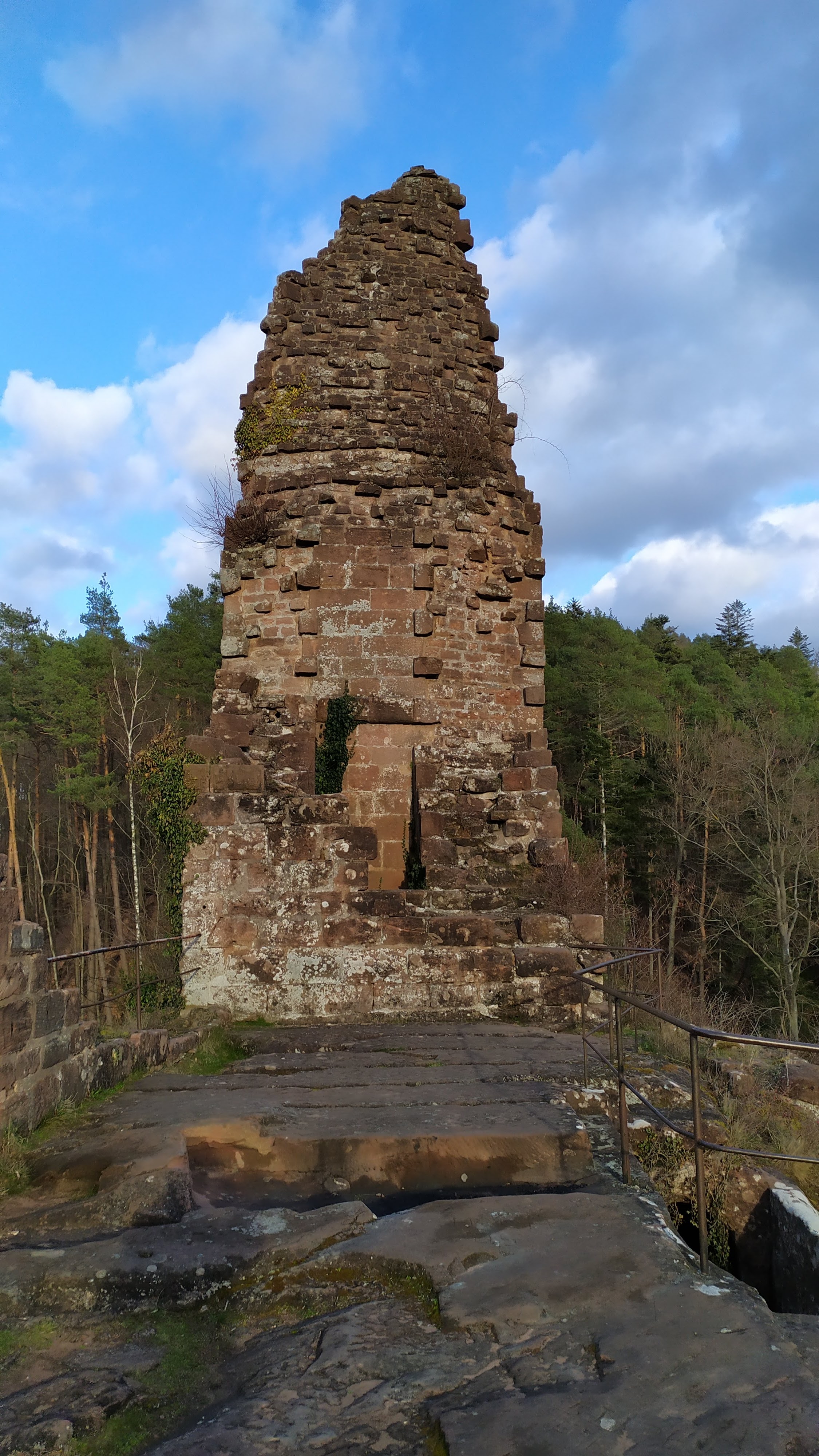 Photo n° 10 de l'avis de Toto.i fait le 21/03/2021 à 20:20