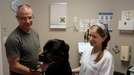 City Pets Animal Clinic image