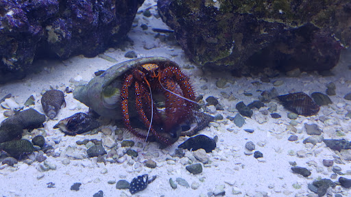 Pet Supply Store «Pet Food Center», reviews and photos, 4036 N First Ave, Evansville, IN 47710, USA