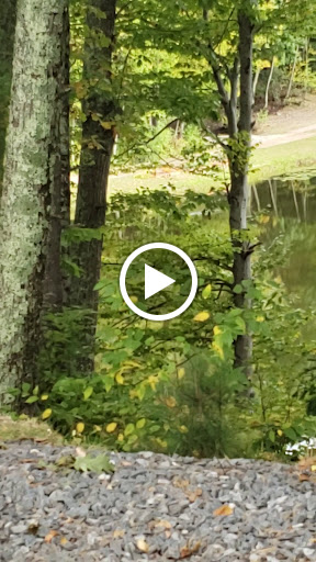 Outdoor Sports Store «Maple Hill Disc Golf», reviews and photos, 132 Marshall St, Leicester, MA 01524, USA