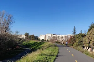 Lower Guadalupe River Trail image