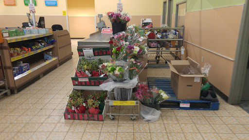 Supermarket «ALDI», reviews and photos, 7777 Seminole Blvd, Seminole, FL 33772, USA