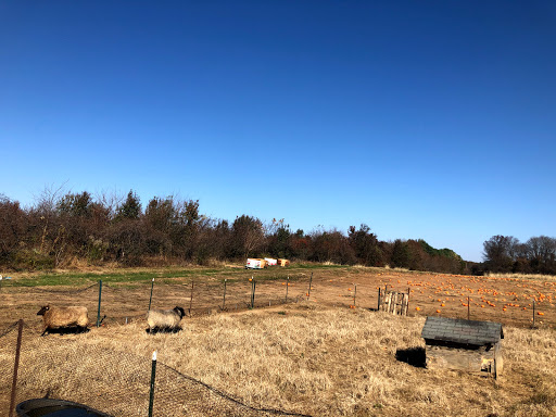 Produce Market «Solly Brothers», reviews and photos, 707 Almshouse Rd, Warminster, PA 18974, USA