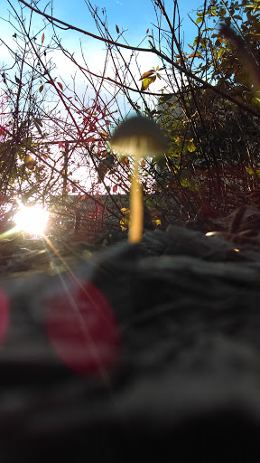 Department Store «Target», reviews and photos, 301 Strander Blvd, Tukwila, WA 98188, USA