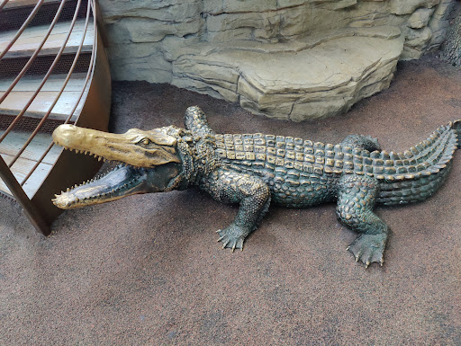 Science Museum «Science City», reviews and photos, 30 W Pershing Rd, Kansas City, MO 64108, USA