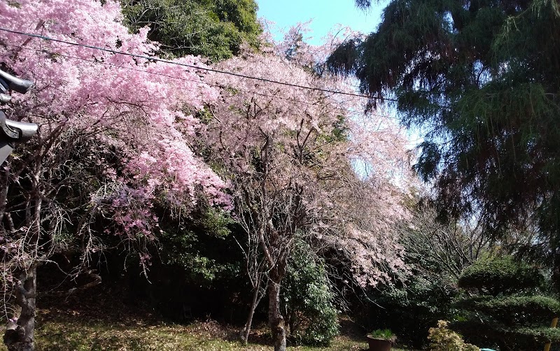 臨済宗南禅寺派 寳珠寺