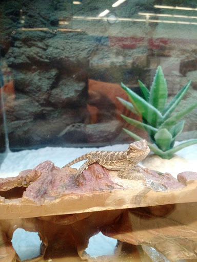 Pet Supply Store «Petco Animal Supplies», reviews and photos, 4491 Kirkwood Hwy, Wilmington, DE 19808, USA