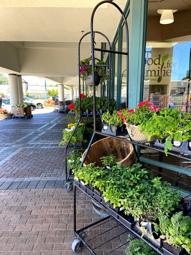 Grocery Store «Nob Hill Foods», reviews and photos, 270 Redwood Shores Pkwy, Redwood City, CA 94065, USA