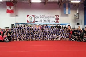 Salcianu Elite Academy of Gymnastics image