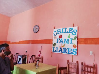 Chiles en Nogada Los Familiares - Las Cajas 4, Segunda Secc, 74180 San Andrés Calpan, Pue., Mexico