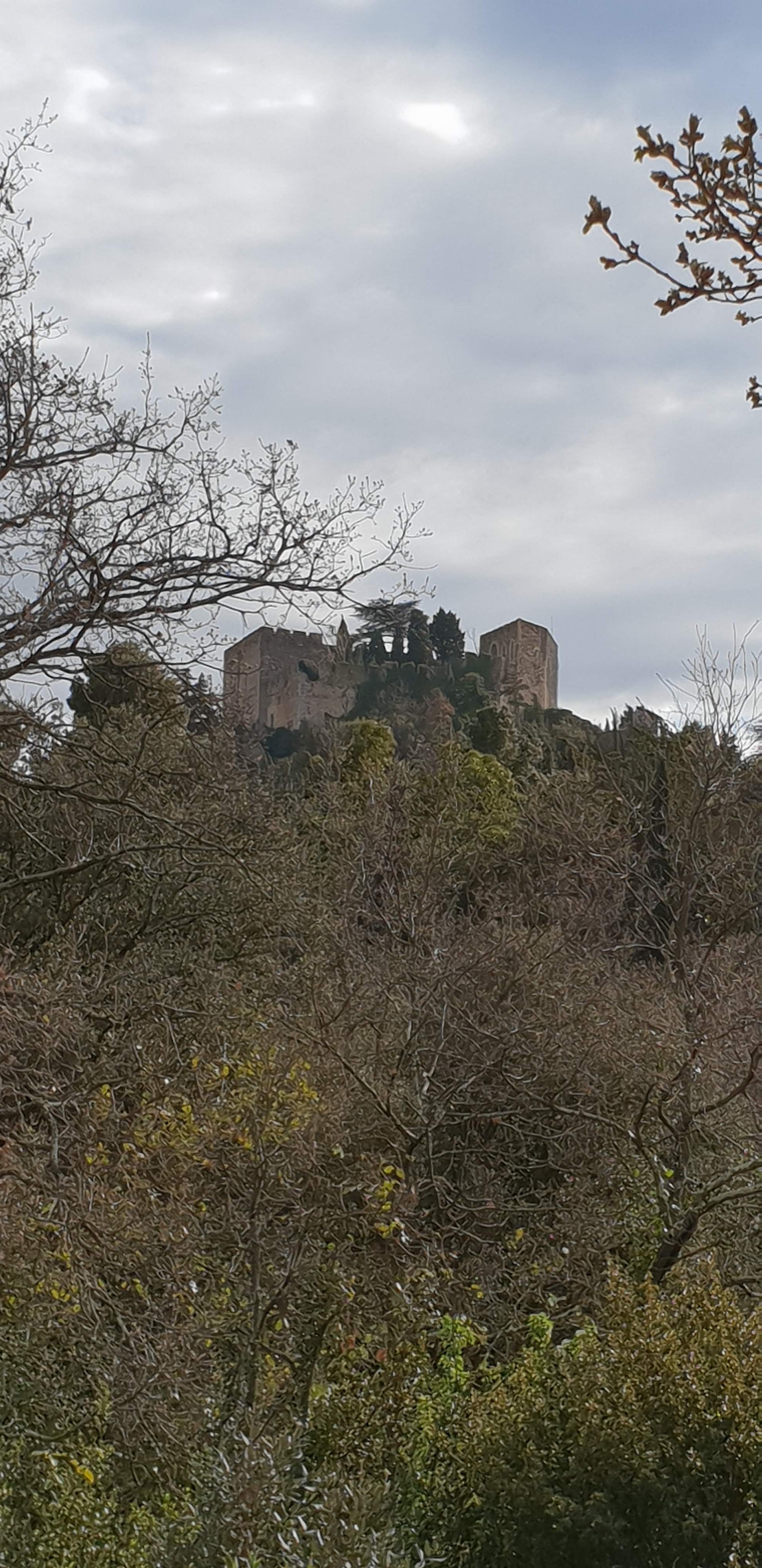Photo n° 8 de l'avis de Mickael.O fait le 26/03/2019 à 10:04