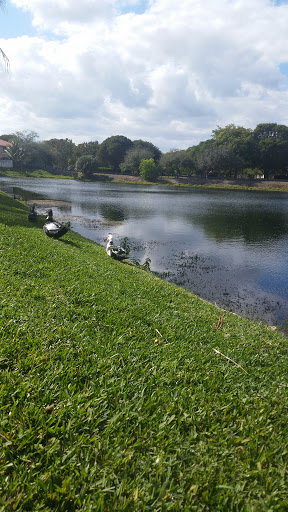 Park «Olympic Park», reviews and photos, 8601 SW 152nd Ave, Miami, FL 33193, USA