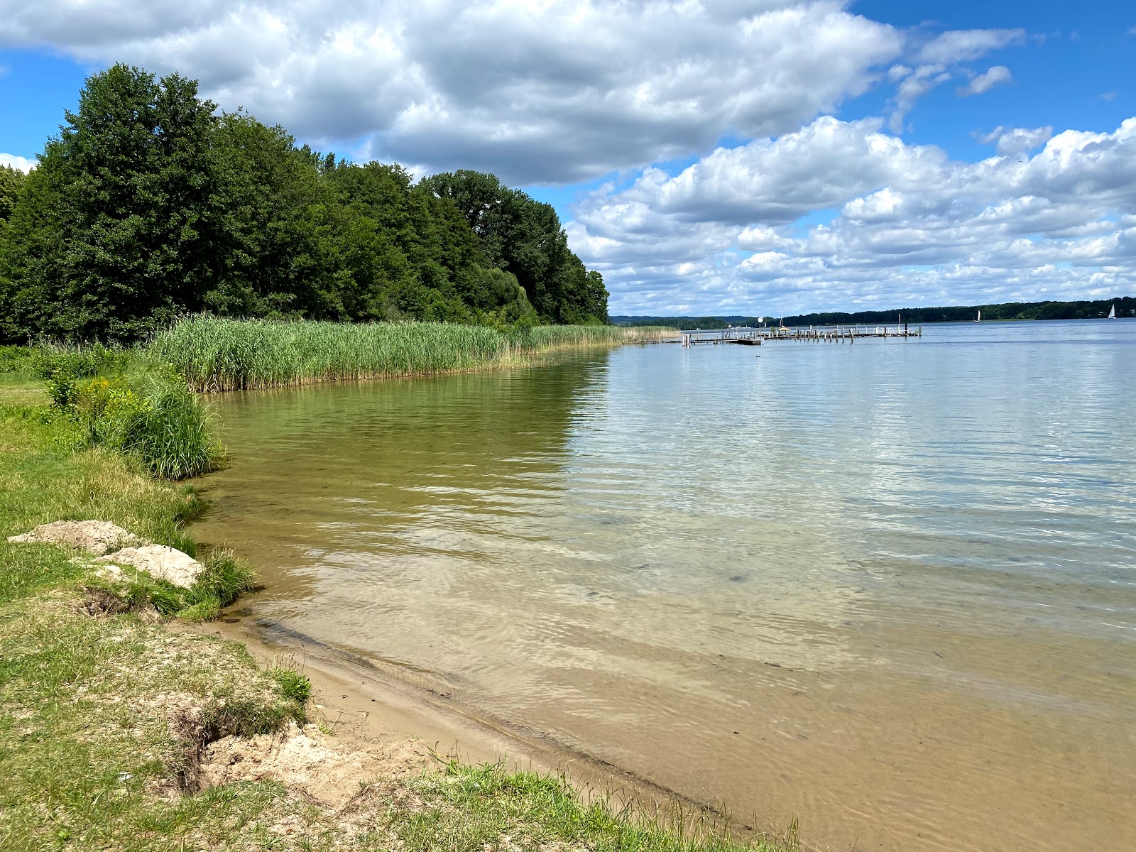 Foto de Strandbad Neptun con hierba superficie