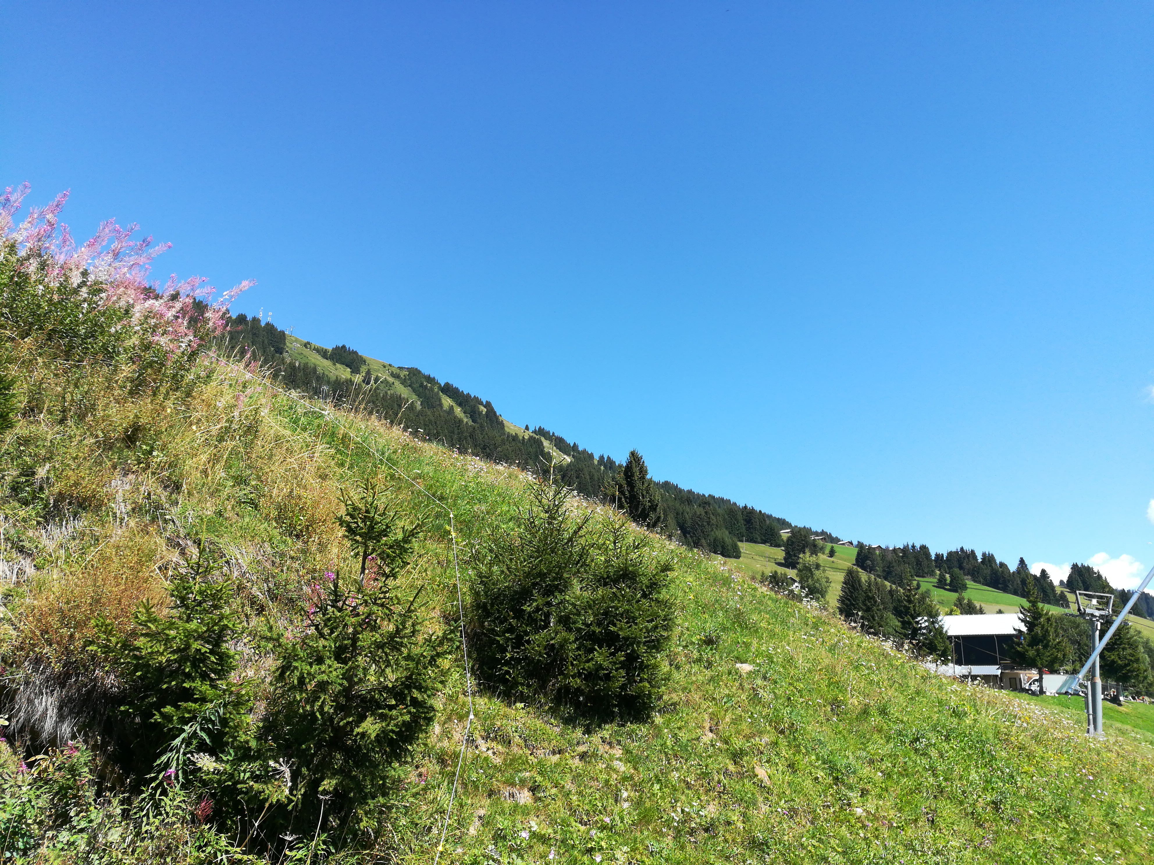 Photo n° 2 de l'avis de sthenyos.b fait le 22/08/2017 à 10:57