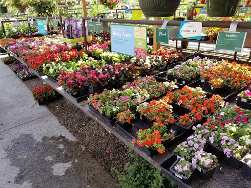 Armstrong Garden Centers San Diego 1 619 563 1433