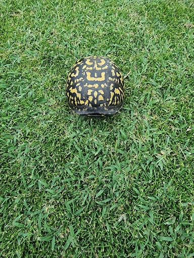 Golf Course «Gunpowder Golf Course», reviews and photos, 14300 Old Gunpowder Rd, Laurel, MD 20707, USA