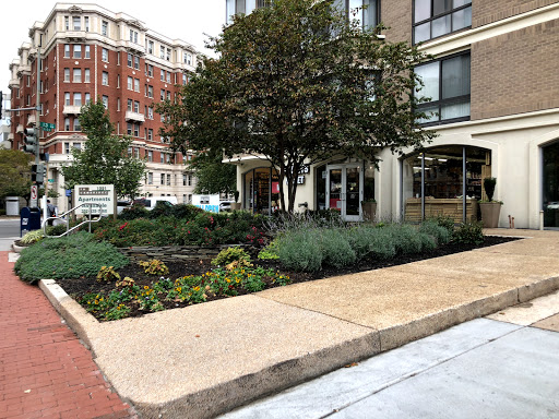 Grocery Store «Streets Market and Cafe», reviews and photos, 2400 14th St NW, Washington, DC 20009, USA